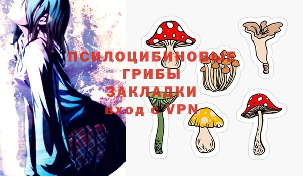 тгк Армянск