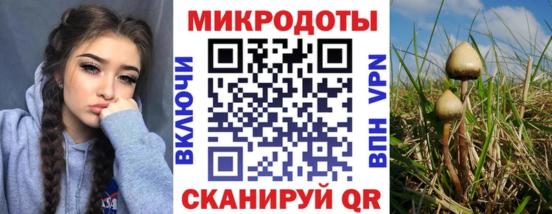 сколько стоит  Ростов  omg как зайти  Галлюциногенные грибы GOLDEN TEACHER 